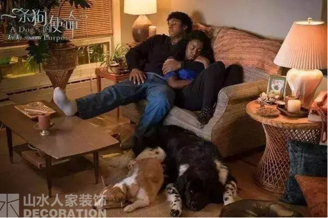 看電影.學(xué)裝修：因?yàn)橛心?，所以有意義